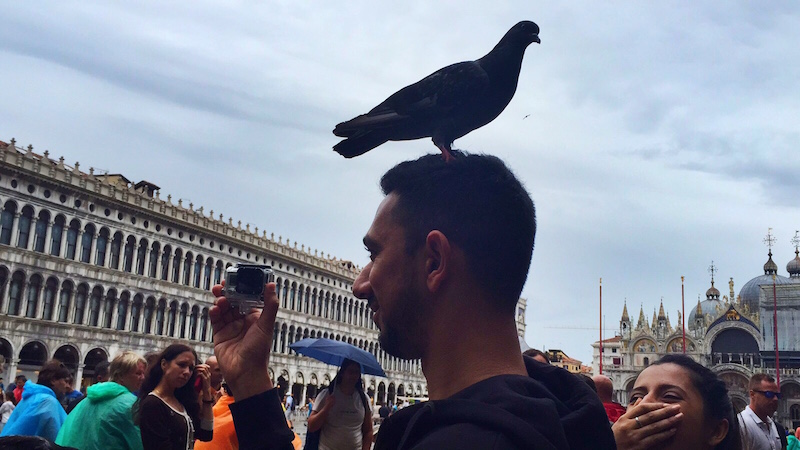 So many pigeons everywhere! And one on Josh's head too, just chilling.